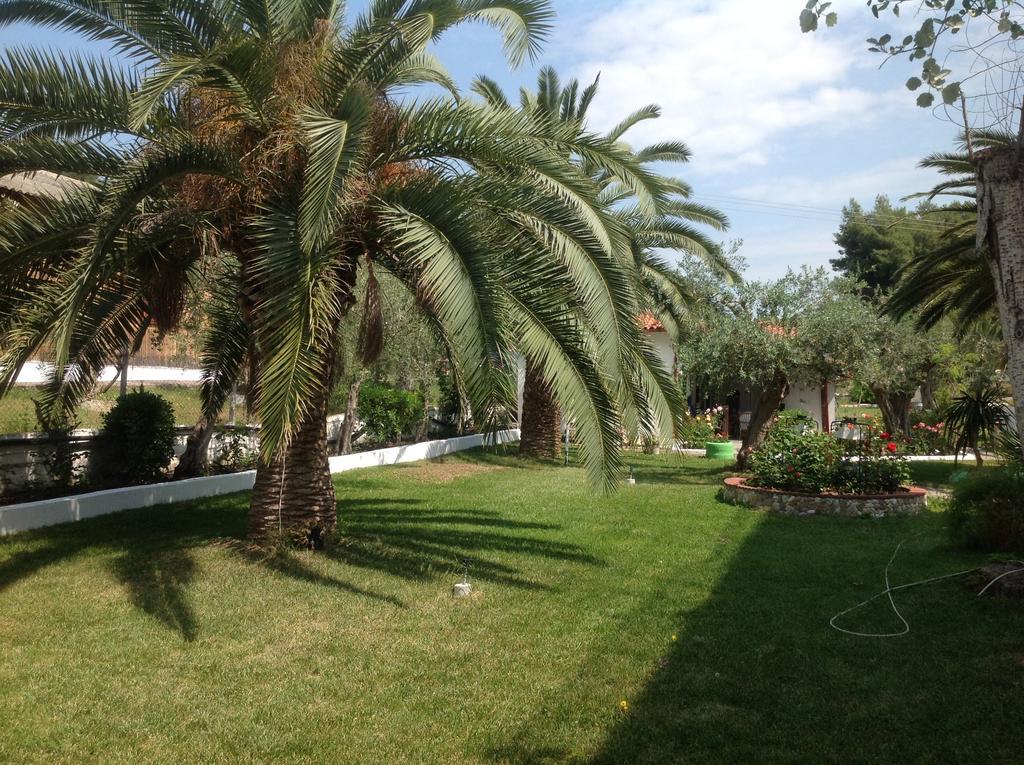 ميتامورفوسي Olympic Bibis Hotel المظهر الخارجي الصورة